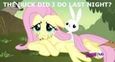 241978__safe_derpibooru+import_edit_edited+screencap_screencap_angel+bunny_fluttershy_badger_pegasus_pony_squirrel_hurricane+fluttershy_angelshy_captio.png