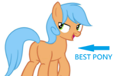 best pony.png