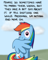 preen.png