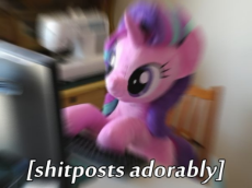 1496176.jpeg