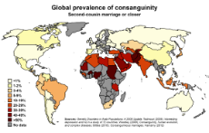 muh_inbred_whites.png