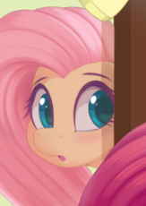 the_flutter.png