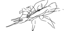 Drawing-157.sketchpad.png