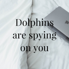 dolphin conspiracy.jpg