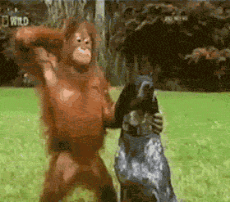 1606958170590.gif