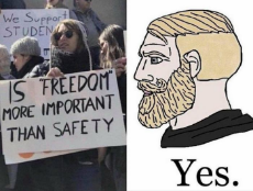 Is freedom more important than safety - Yes.jpeg