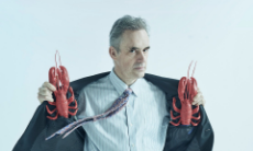 Peterson_lobsters.jpg