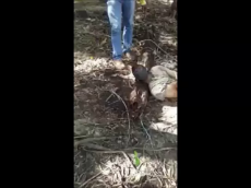 1722557511636687.webm