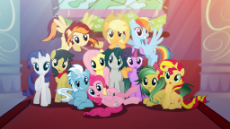 mlpgroup.png