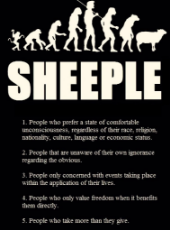 sheeple.jpg