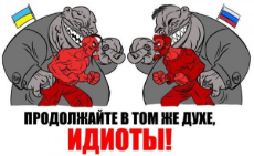 1655646856.jpg