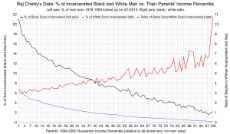 Black and White Incarceration and Income.jpg