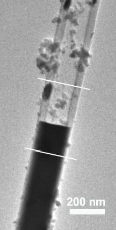 Individual_ZnO-Si_nanotube.jpg