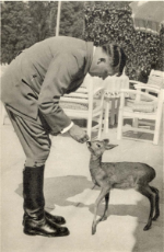 Hitler and deer fawn.jpg