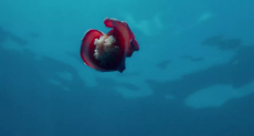 rubber gunt.webm