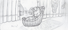 Zebra baby.jpg