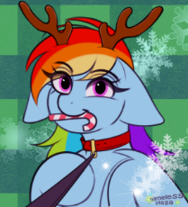 7390196__safe_artist-colon-namelessplaza_imported+from+derpibooru_rainbow+dash_pegasus_pony_abstract+background_bust_candy_candy+cane_commission_.png