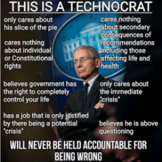 dr-fauci-technocrat-cares-nothing-about-individual-rights-constitution-seconary-consequences-job-crisis-not-accountable.jpg