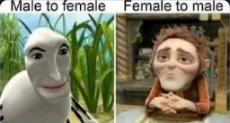 1740260152915433m.jpg