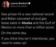 tweet-gas-prices-national-record-biden-cancels-leases.jpg