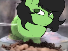 233f7c72ec82.png