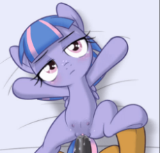 2257569.gif