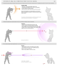 Unicorn_Shields.jpg