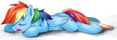 dash snooze.png