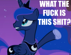 luna - what the fuck is this shit.png