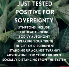 positive for sovereignty.jpeg