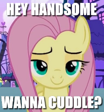 fluttersmug.jpeg