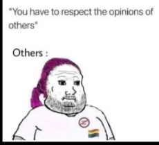 respect-others-opinions-purple-haired-liberal-others.jpg