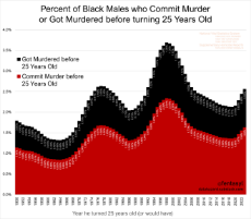 About 1 in 40 black men alredy killed somebody before turning 25.png
