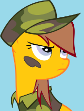 mlpol filly test template ….png