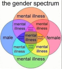 the gender spectrum.png