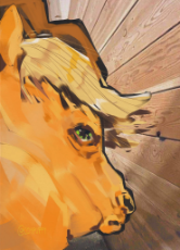 1720925833844601.jpg