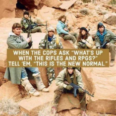 message-red-dawn-when-cops-ask-rifles-rpgs-new-normal.jpeg