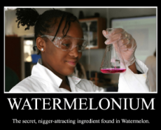 scientist nigger - watermelon.jpg