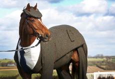 three-piece-tweed-horse-suit-emma-sandham-king-1.jpg