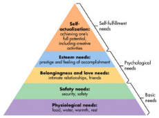 Maslow’s hierarchy of needs.jpg