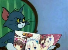 1565228392964.png