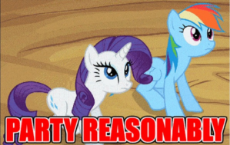 my-little-pony-friendship-is-magic-brony-party-reasonably1.gif