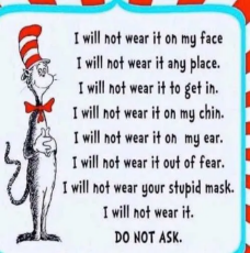 cat-in-hat-i-will-not-wear-on-face-place-chin-do-not-ask.png