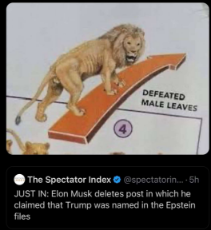 defeated_musk.jpg