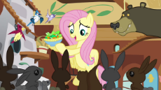 Fluttershy_brings_the_anim….png
