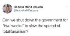 tweet-isabella-deluca-shut-down-government-2-weeks-slow-spread-totalitarianism.jpeg