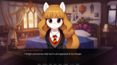 screenshot0011.png