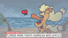 Florida_Mare.png