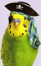 2317140_orig.jpg