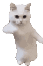 catdance.gif